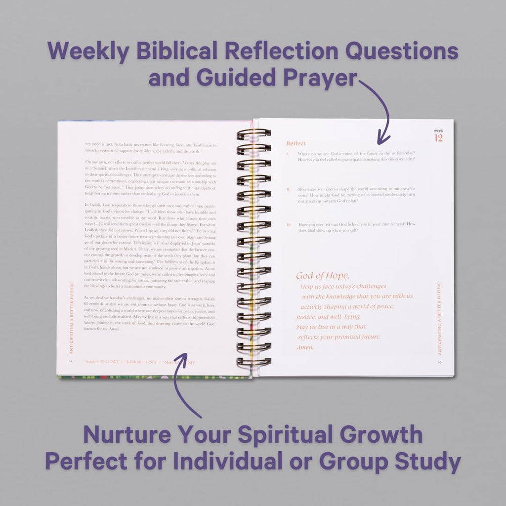 A Beautiful Year in the Bible Study