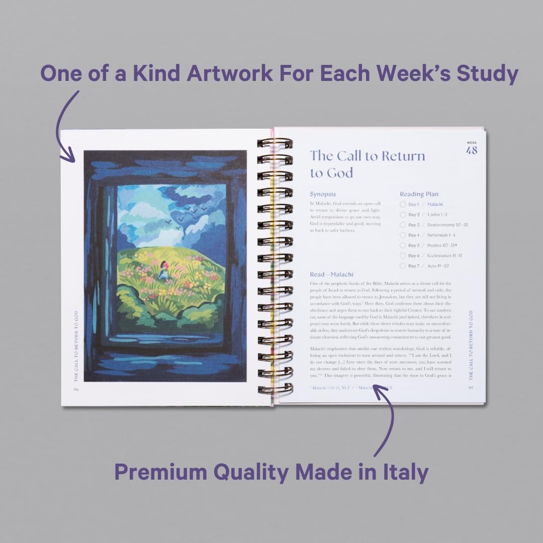 A Beautiful Year in the Bible Study