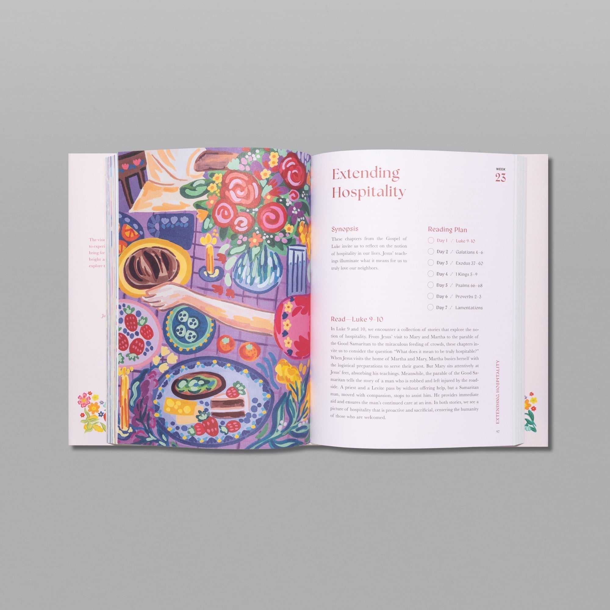 A Beautiful Year in the Bible Studyt (Ninci)