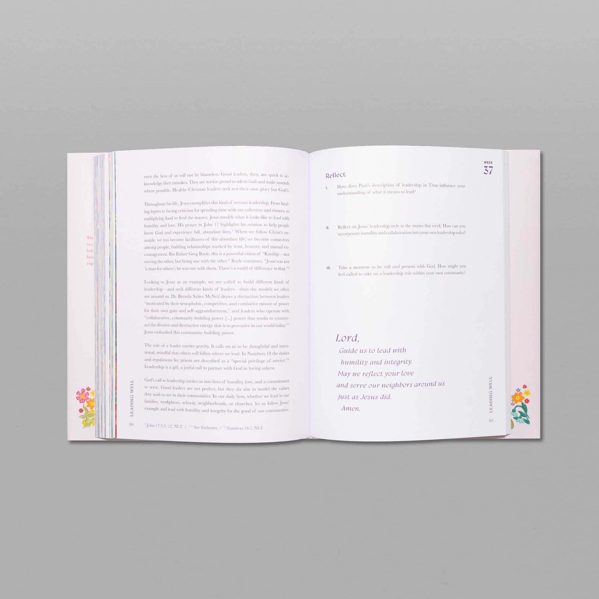 A Beautiful Year in the Bible Studyt (Ninci)