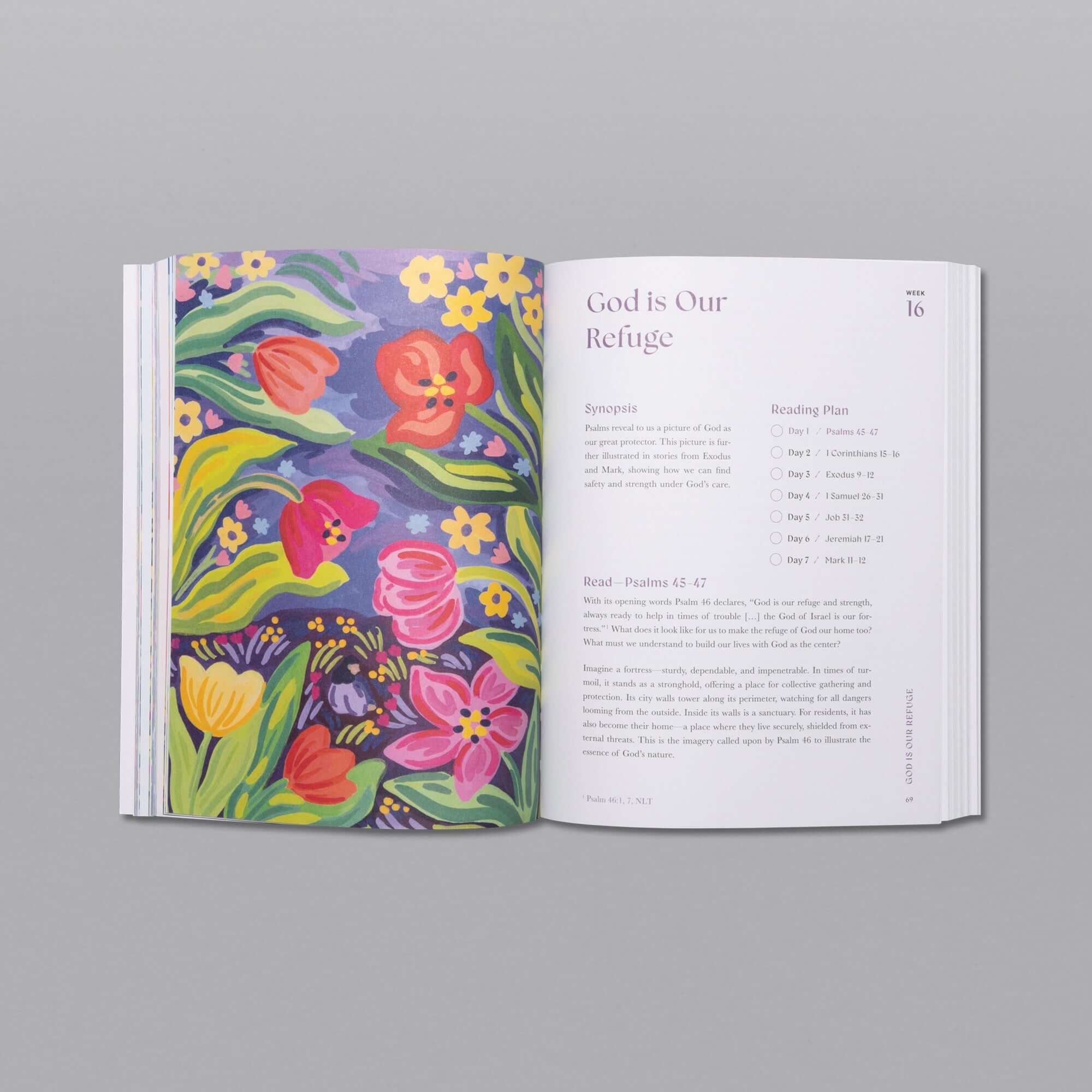 A Beautiful Year in the Bible Studyt (Ninci)