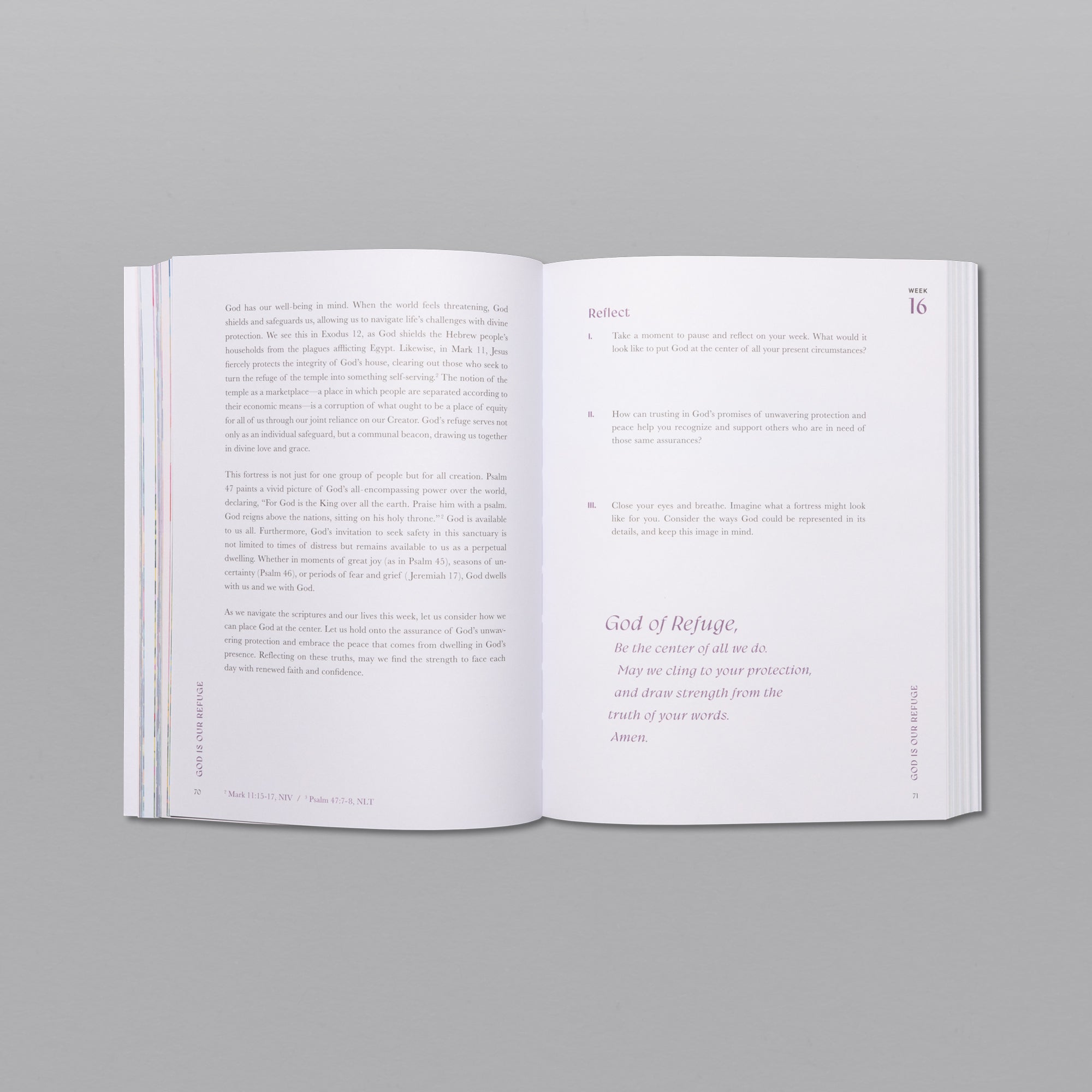 A Beautiful Year in the Bible Studyt (Ninci)